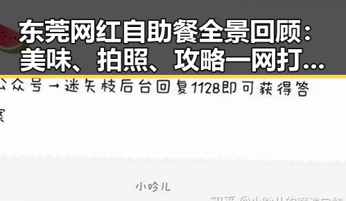 东莞网红自助餐全景回顾：美味、拍照、攻略一网打尽！
