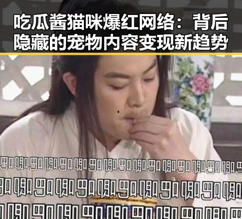 吃瓜酱猫咪爆红网络：背后隐藏的宠物内容变现新趋势