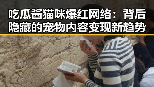 吃瓜酱猫咪爆红网络：背后隐藏的宠物内容变现新趋势