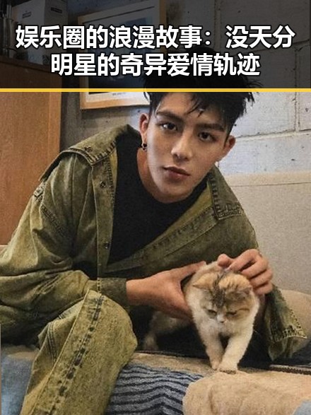 娱乐圈的浪漫故事：没天分明星的奇异爱情轨迹