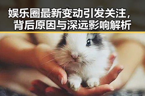 娱乐圈最新变动引发关注，背后原因与深远影响解析